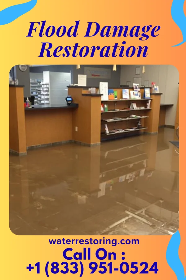 Flood Damage Restoration in Samsula-Spruce Creek, FL